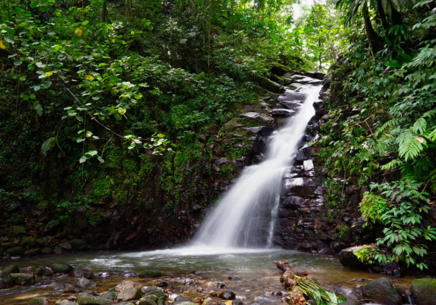 Enbas Saut Falls Trail, Edmund Forest Reserve, Central St. Lucia, Saint Lucia